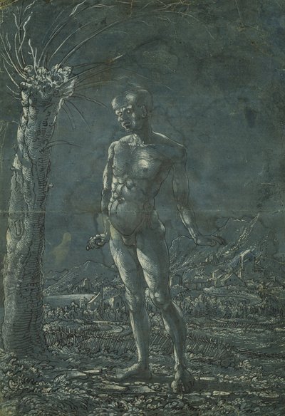 Standing nude man in a landscape, c.1512 by Wolf Huber